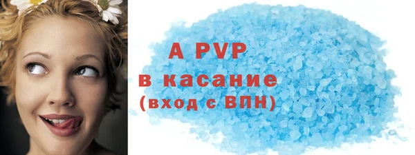 индика Белоозёрский