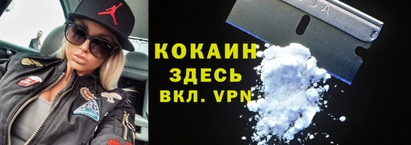 индика Белоозёрский